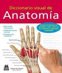 Anatomía