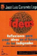 Reflexiones para crear ideas en el futuro de los indignados