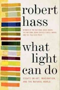 What Light Can Do: Essays on Art, Imagination and the Natural World