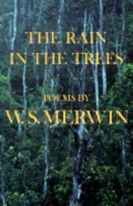 Rain in the Trees