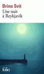 Une nuit à Reykjavik