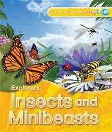 Insects and Minibeasts