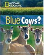 Blue Cows   with Multi-Rom   B1