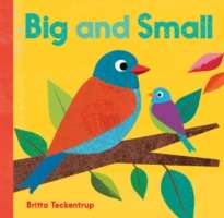 Big and Small    board book