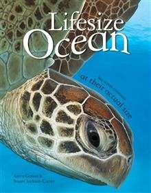 Lifesize Ocean