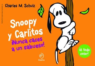 Snoopy y Carlitos 2