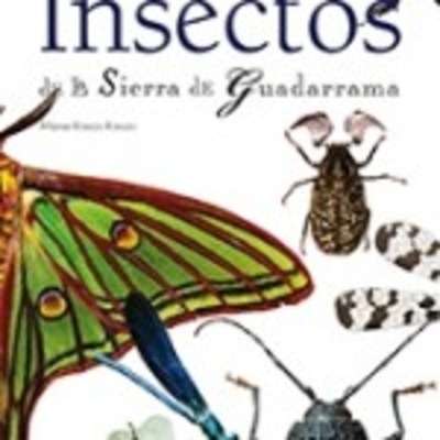 Guía de insectos de la Sierra de Guadarrama