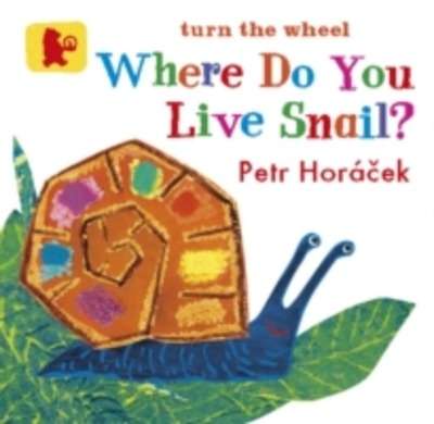 Where do you Live Snail?