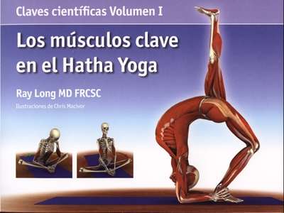 Los músculos clave be el Hatha Yoga