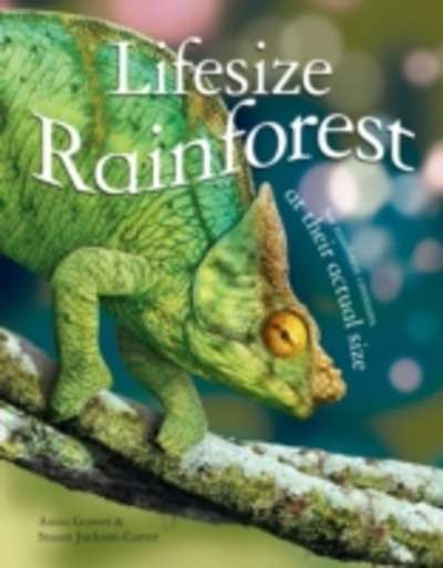 Lifesize Rainforest