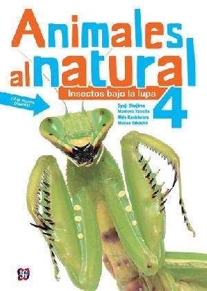 Animales al natural 4. Insectos bajo lupa