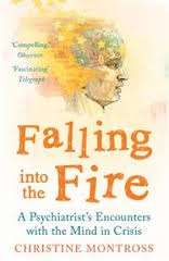 Falling into the Fire - A Psychiatrist's Encounters with the Mind in Crisis