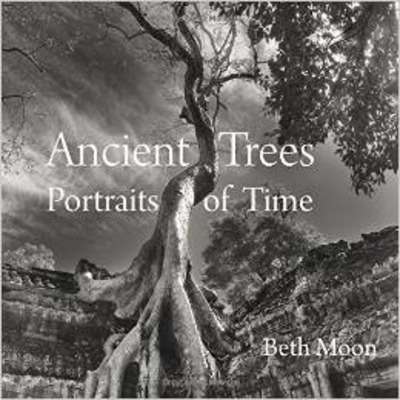 Ancient Trees. Portraits of Time