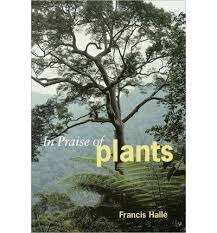 In Praise of Plants