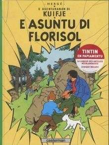 E asuntu di Florisol