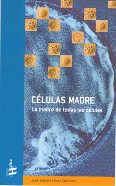 Células Madre: la madre de todas las células