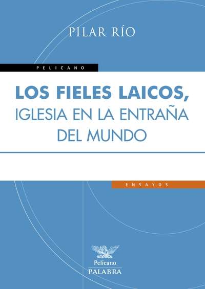 Los fieles laicos, Iglesa en la entraña del mundo