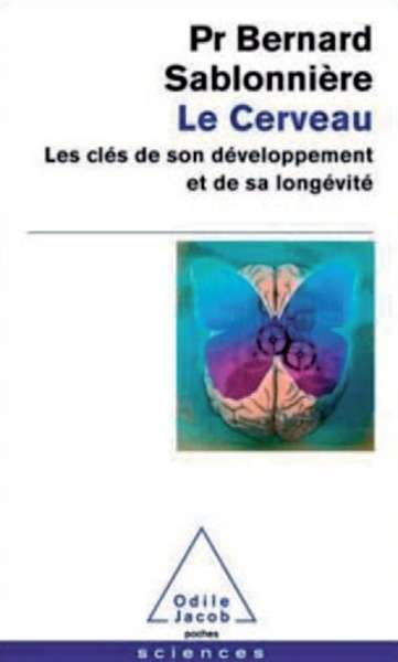 Le cerveau