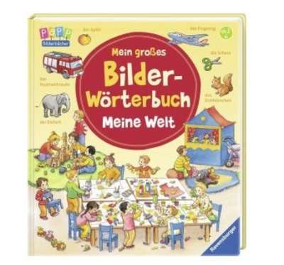 Mein grosses Bilder-Wörterbuch: Meine Welt