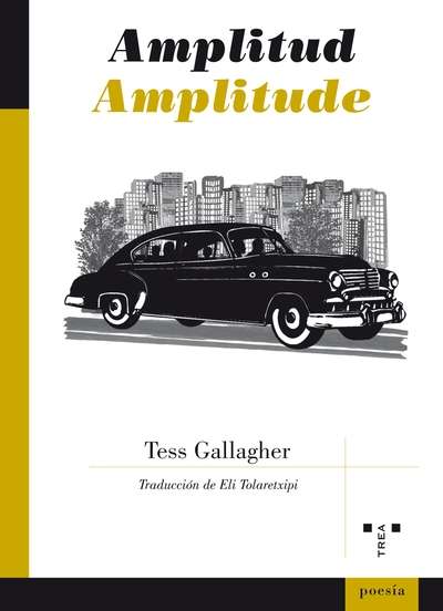 Amplitude