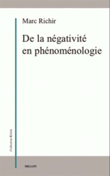 De la négativité en phénoménologie