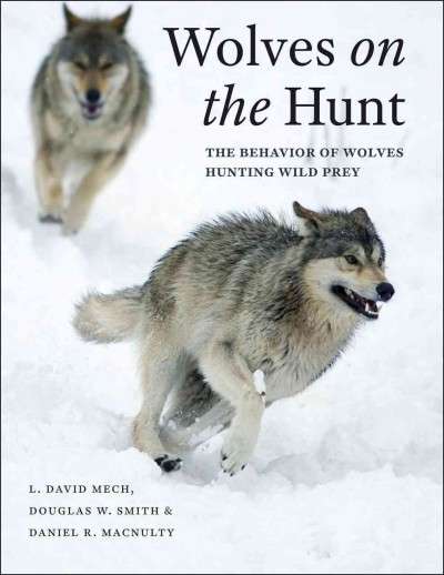 Wolves on the Hunt : The Behavior of Wolves Hunting Wild Prey