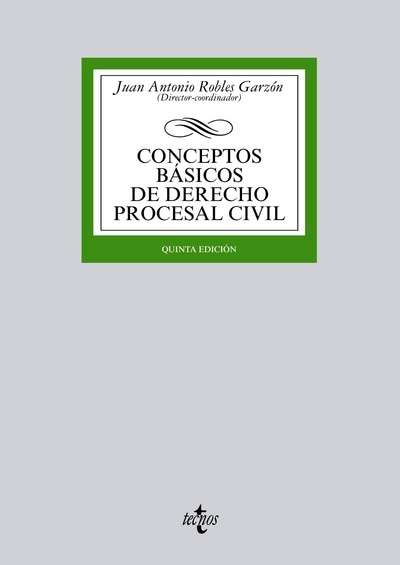 Conceptos básicos de Derecho procesal civil