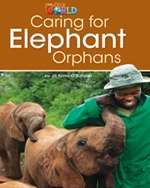 Caring for Elephant Orphans