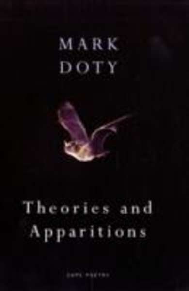 Theories and Apparitions