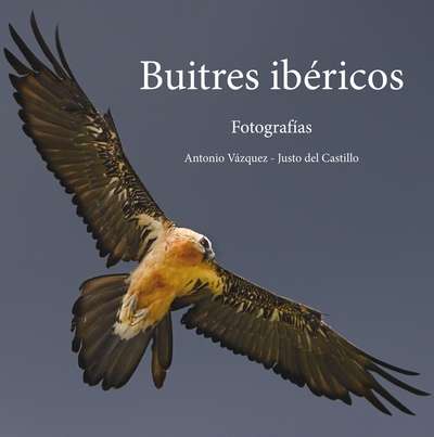 Buitres ibéricos