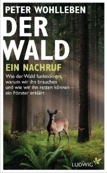 Der Wald - ein Nachruf