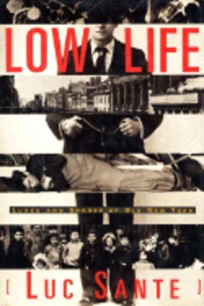 Low Life: Lures and Snares of Old New York