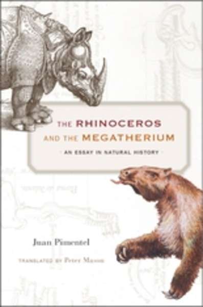 The Rhinoceros and the Megatherium