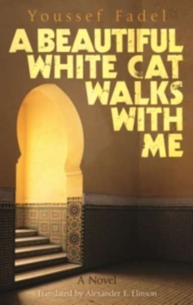 A Beautiful White Cat Walks with Me