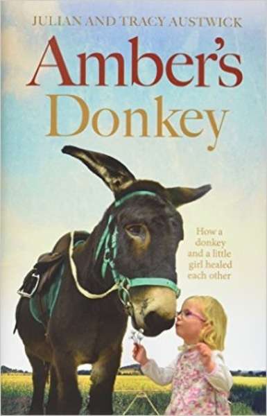 Amber's Donkey