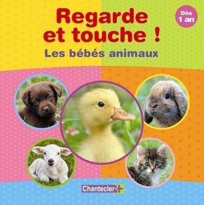 Regarde et touche! Les bébés animaux