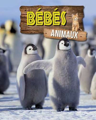 Bébés animaux