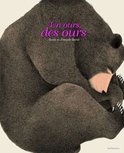 Un ours, des ours