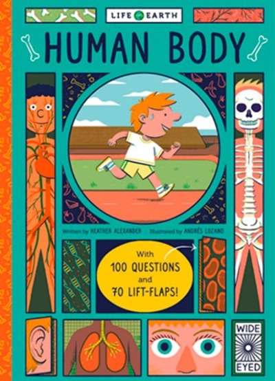 Life on Earth: Human Body : With 100 Questions and 70 Lift-Flaps!