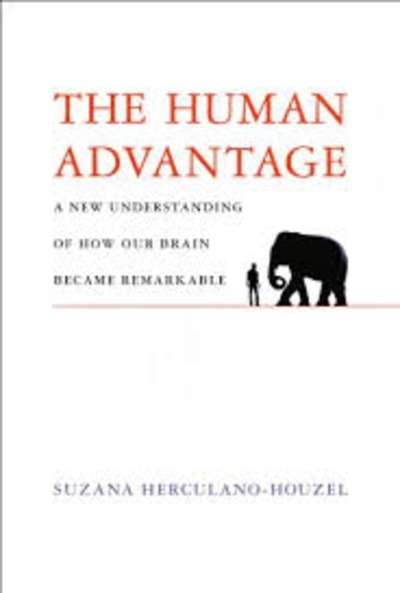 The Human Advantage : A New Understanding of How Our Brain Became Remarkable