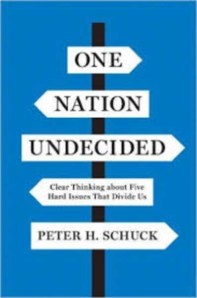 One Nation Undecided : Clear Thinking About Five Hard Issues That Divide Us