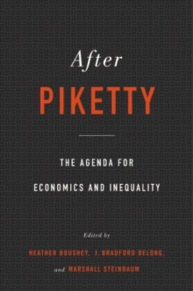 After Piketty - The Agenda for Economics and Inequality