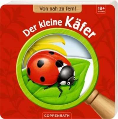 Von nah zu fern: Der kleine Käfer