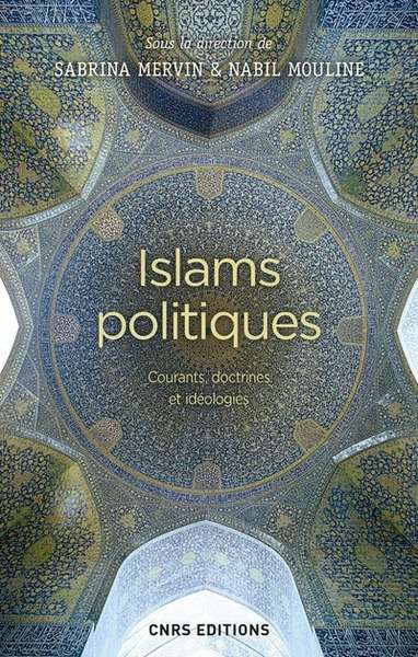Islams politiques. Les fondements idéologiques