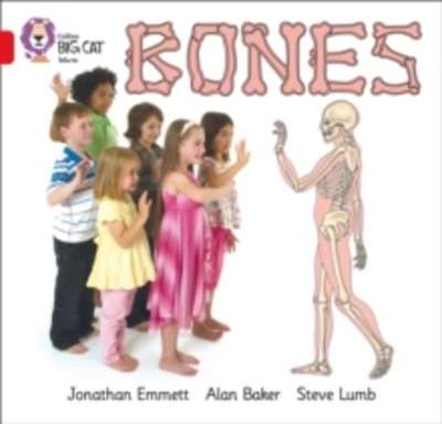 Bones : Band 02B/Red B