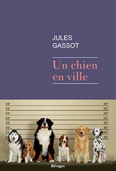 Un chien en ville