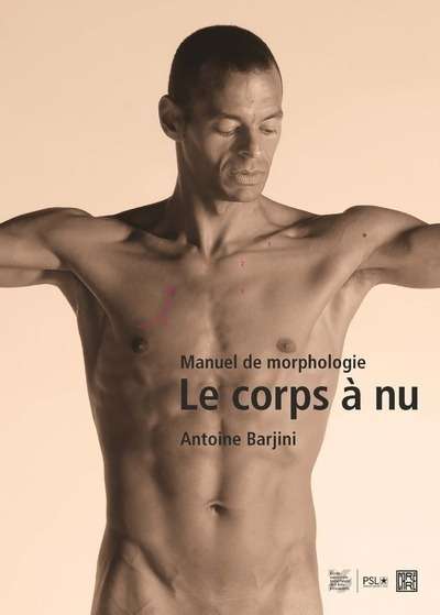 Manuel de Morphologie