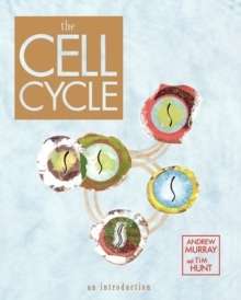 The Cell Cycle