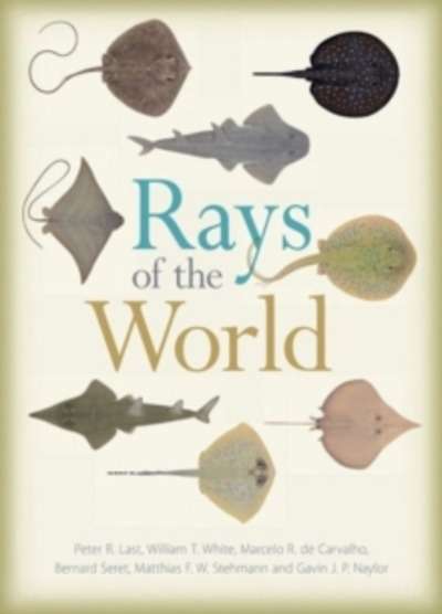 Rays of the World