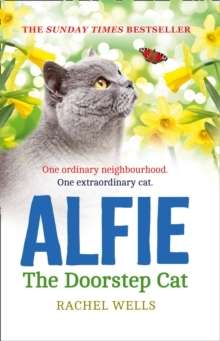 Alfie, The Doorstep Cat